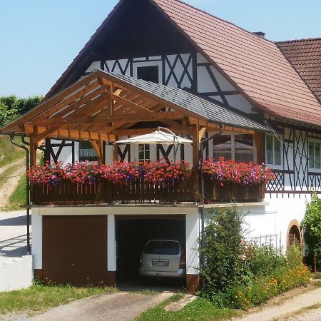 Steinhof Apartment Oberkirch  Luaran gambar