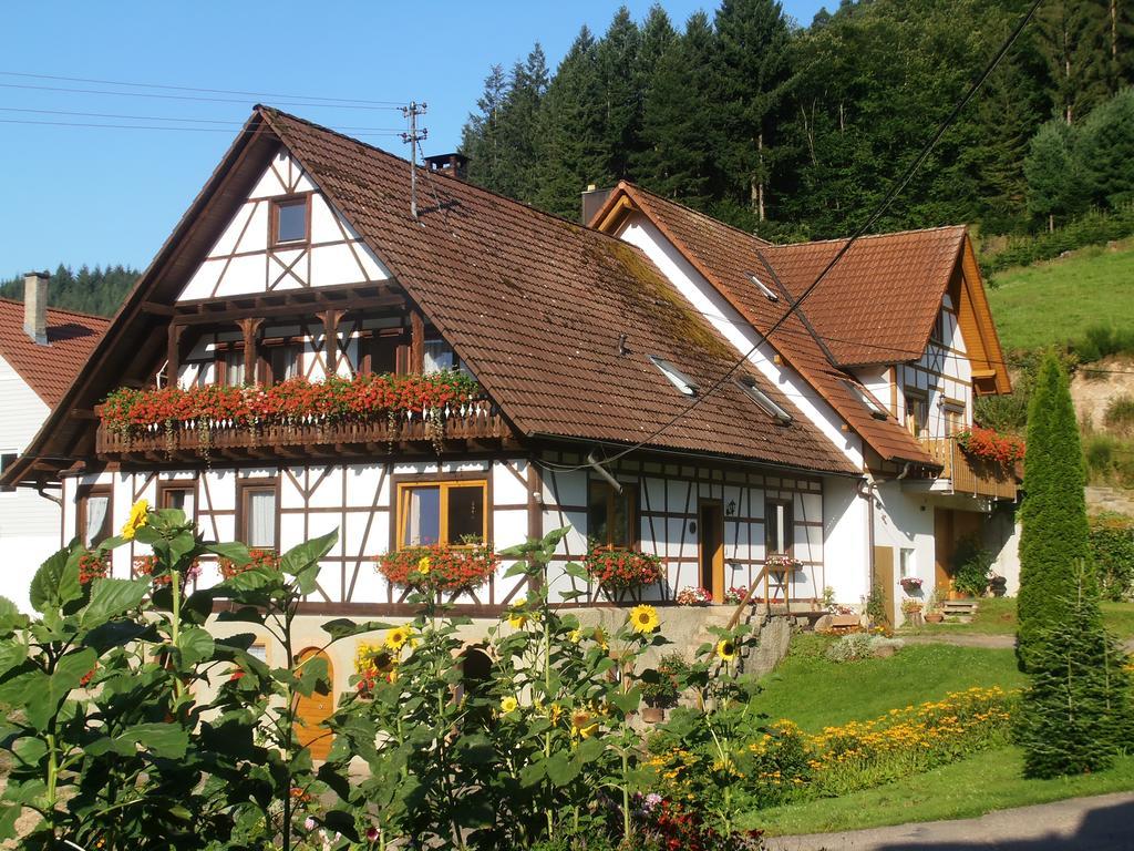 Steinhof Apartment Oberkirch  Luaran gambar